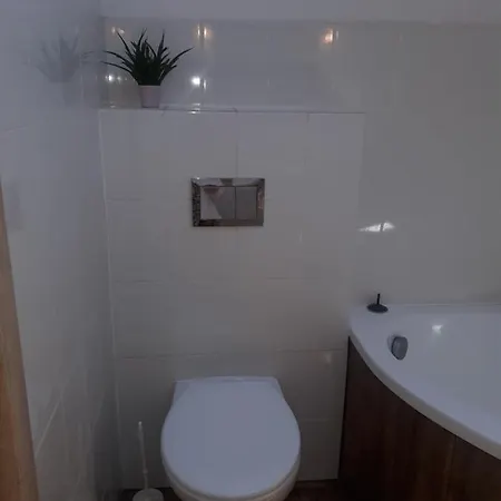 Dom Nad Jeziorem Z Linia Brzegowa 別荘 *